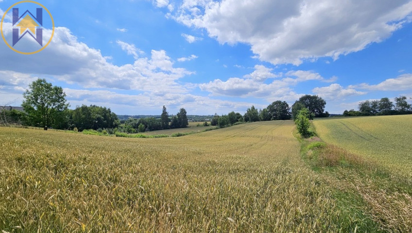 Działka Sprzedaż Masłomiąca