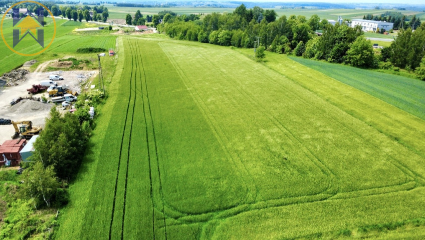 Działka Sprzedaż Miechów